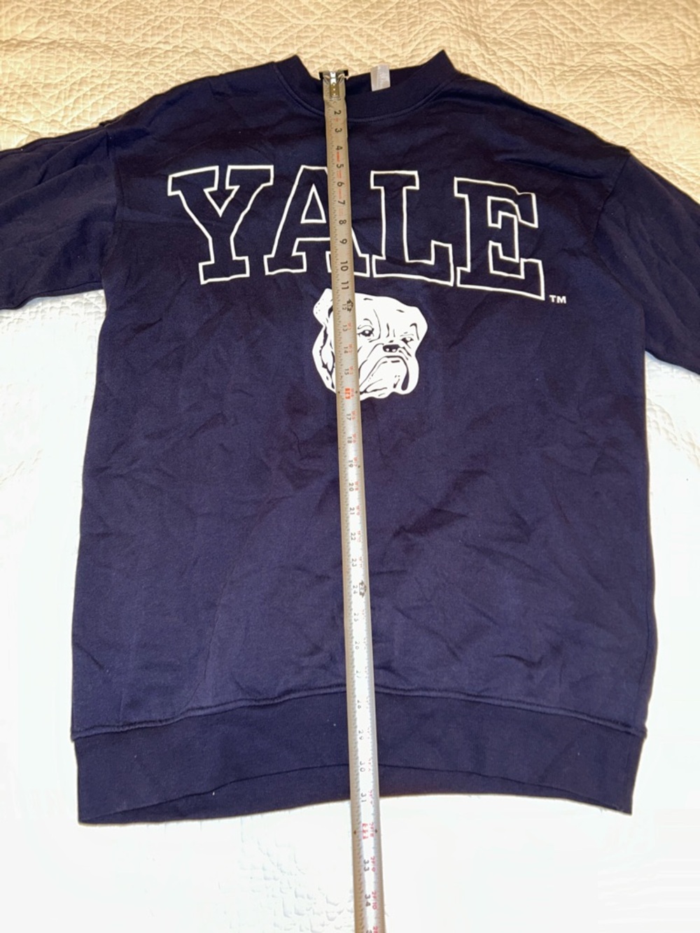 Divided Navy Sweatshirt with White Lettering